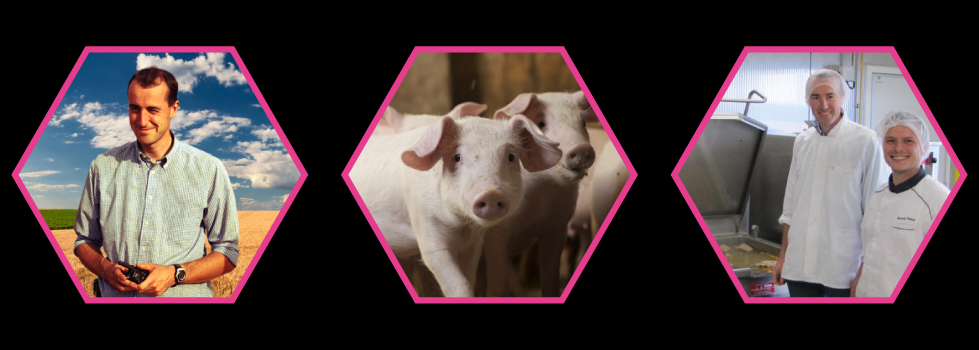 cultures-elevage-transformation-porc-normandie